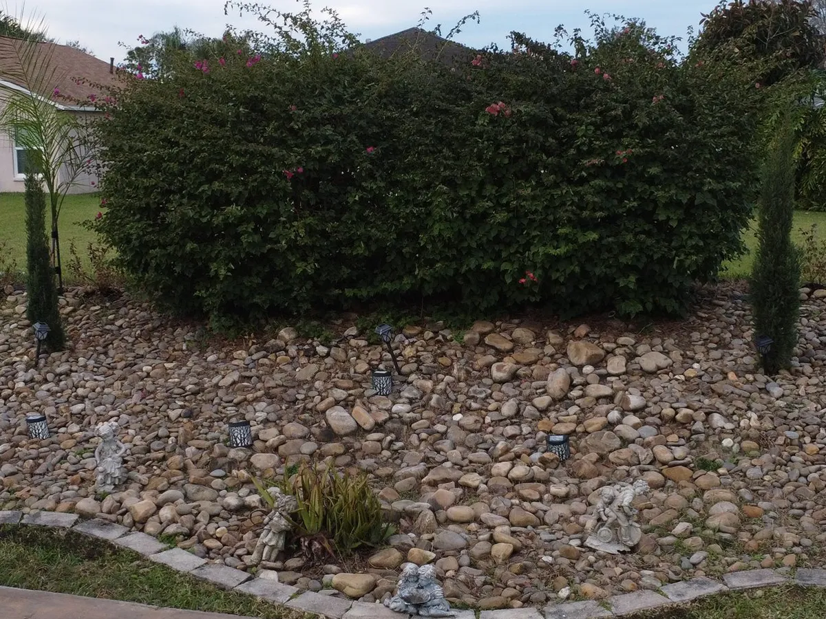 Rock garden with decorative statues and shrubs in a residential landscaping setting.