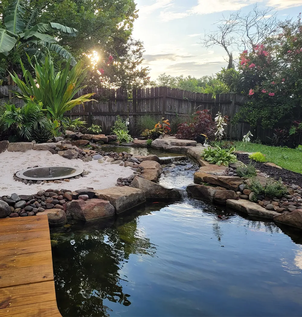 Backyard pond with large stones and aquatic plants, creating a natural water feature surrounded by lush garden landscaping.