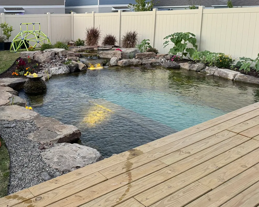 Backyard pond with clear water, a wooden deck, and surrounding rock and plant landscaping.