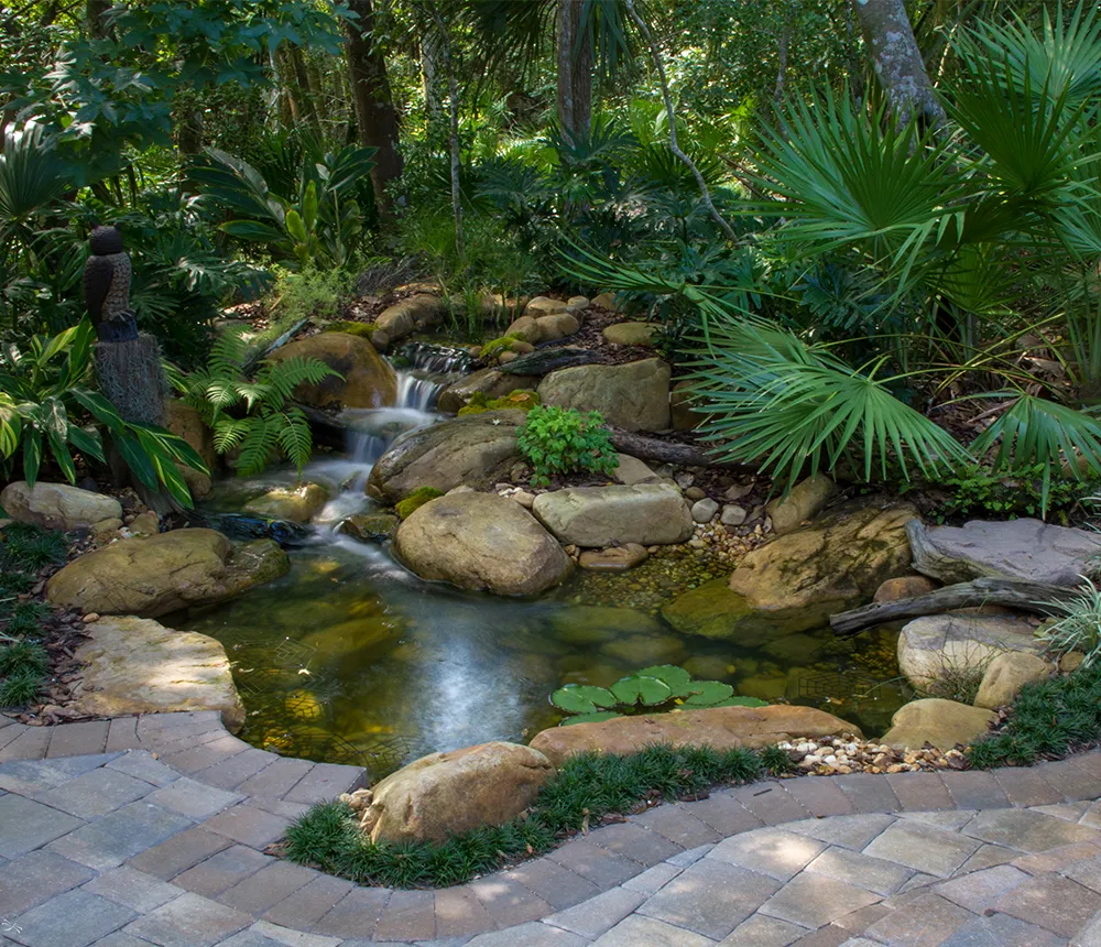 Natural backyard pond with waterfall and lush tropical landscaping