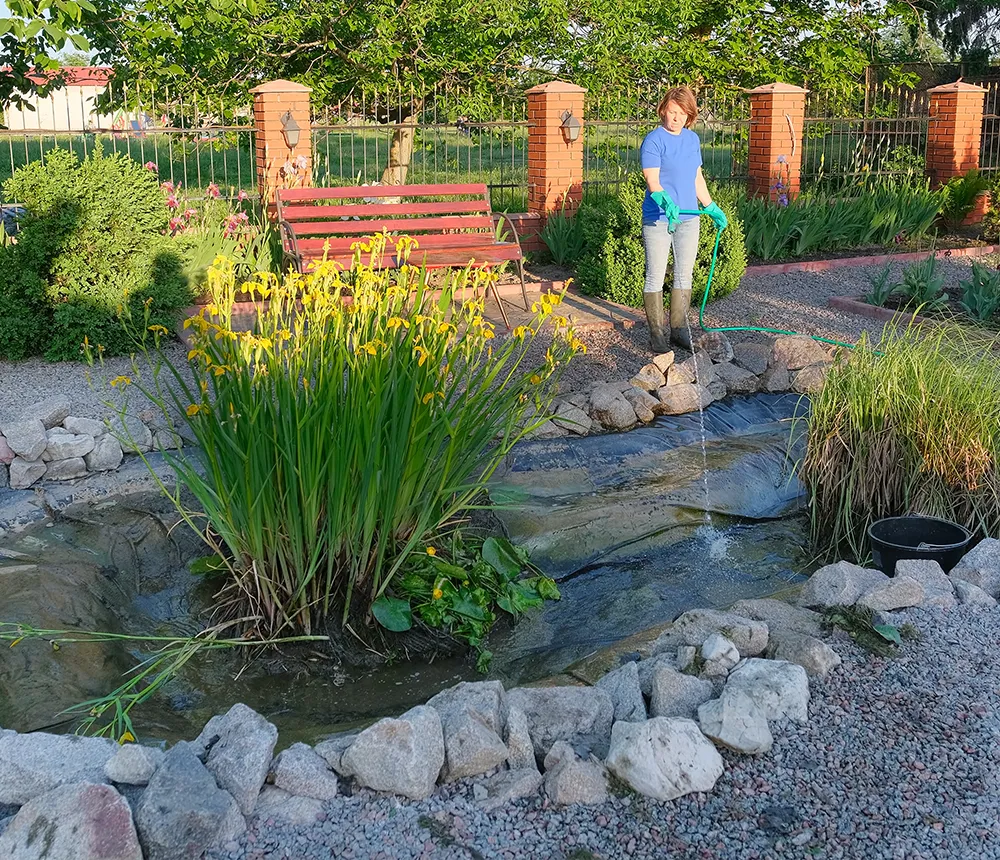 Woman cleaning and refilling garden pond with water plants and rock border