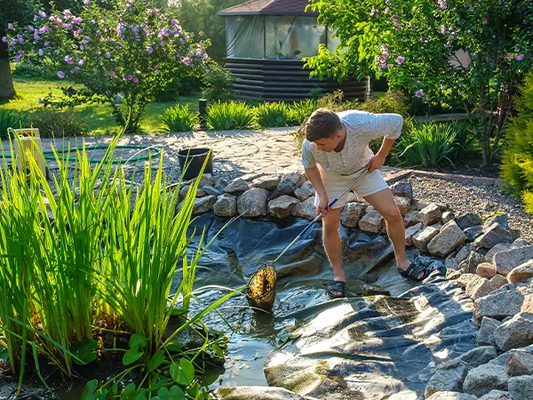 Worker cleaning a large backyard pond, performing maintenance to remove debris and maintain water quality in the pond.