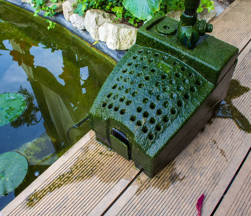 Green algae-covered pond filter pump on wooden deck beside garden pond