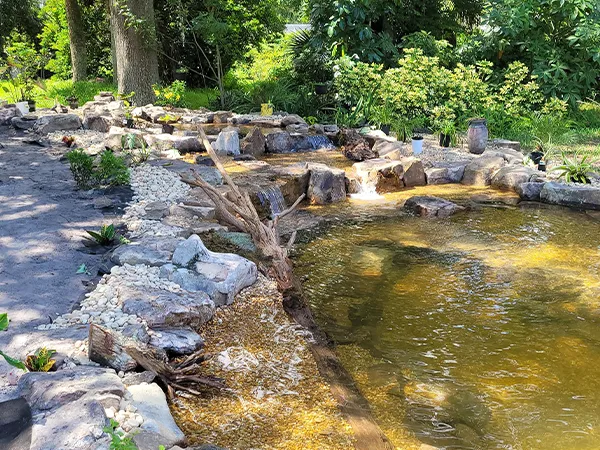 Newly constructed backyard pond with natural stone borders and a water cascade feature